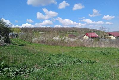 Teren de 1150 mp, în Dămienești - 4
