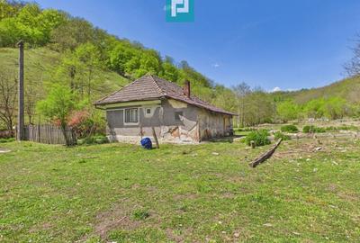 Teren Construcții intravilan de 13199 mp, în Luncoiu de Jos - 4