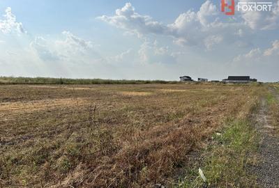 Parcele teren de vanzare in Sanandrei - ID V5451 - 3