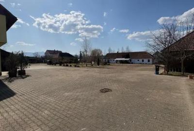 Teren în Ocna Șugatag - 4
