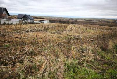 Teren intravilan, 5000 mp, Siret - 7