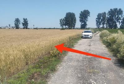 Teren de 6500 mp, în Golești - 6