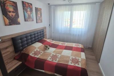 Apartament cu 3 camere decomandat, mobilat în Drumul Taberei - 7