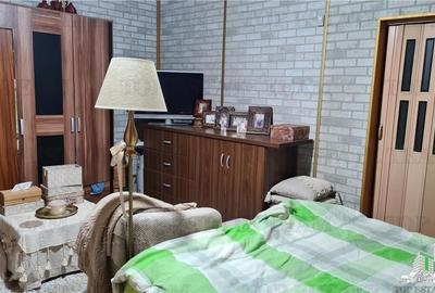 Super afacere, vila cu aspect de conac cu spatii moderne dar si clasice antichiz - 7