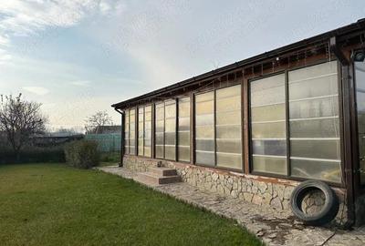 Casa sat Serbestii Vechi - 1