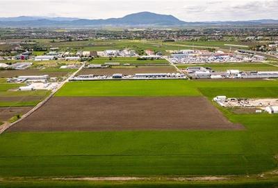 Teren agricol intravilan de 10000 mp, în Griviței - 3