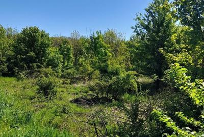 Teren de 2465 mp, în Tărtășești - 2