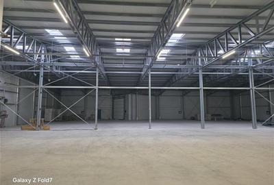 Spațiu industrial, de 6,000 mp, în Mogoșoaia - 15