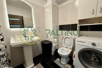 Garsonieră, mobilată în Piața Cluj - 12