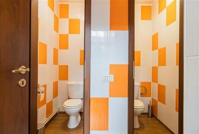 Casa pretabila: rezidential/ comercial/ servicii/investitional,Central,Fagaras - 24
