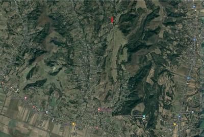 Teren de 3000 mp, în Gorganu - 4