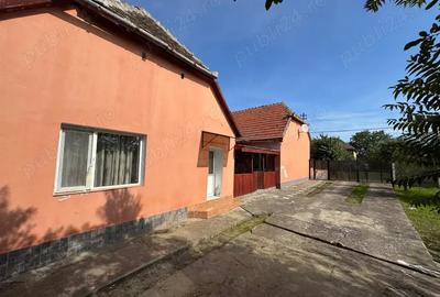 Casa de vanzare in Banloc - 2