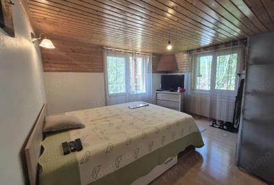 Vanzare proprietate remarcabila situata in zona turistica Runcu - 4