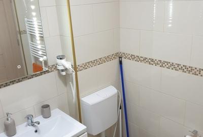 Apartament cu 2 camere semidecomandat în Unirii - 11