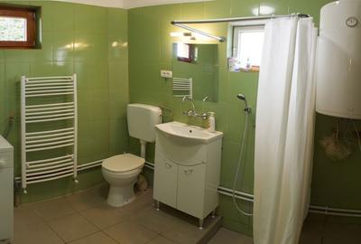 Casă cu 4 camere cu Teren 1294 Mp în Snagov - 6