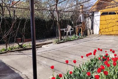 Casă cu 5 camere cu Teren 830 Mp în Central - 9