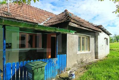 Casa cu 2 camere