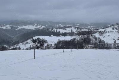 Casă cu 6 camere cu Teren 1005 Mp în Peștera - 8