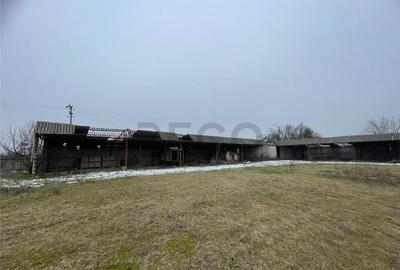 Spațiu comercial, de 500 mp, în Pocola - 1