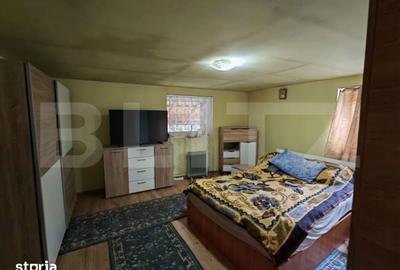 Casă cu 4 camere cu Teren 12186 Mp în Rapoltu Mare - 17