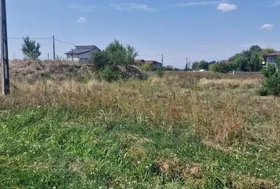 Teren intravilan de 1543 mp, în Brănești - 3