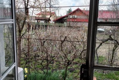 Casă cu 3 camere în Băneasa - 6