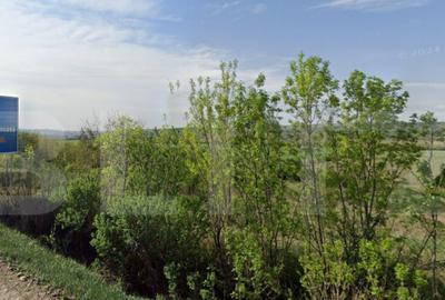 Teren extravilan, 2600mp cu 31m deschidere la E85, zona CENT - 1