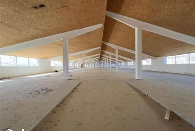 Spațiu comercial, de 3,510 mp, în Miroslovești - 1