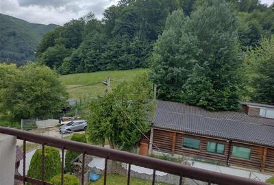 Pensiune in mijlocul naturii!! - 14