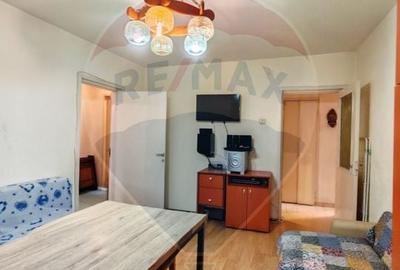 Apartament cu 3 camere semidecomandat, mobilat în Noua - 6