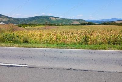 Teren de 8053 mp, în Mintia