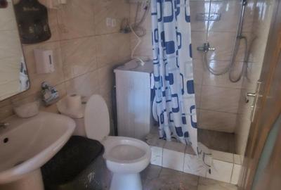 Casă cu Teren 3435 Mp în Peciu Nou - 4
