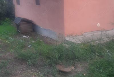 Casă cu 1 camere cu Teren 3625 Mp în Vlădiceni - 8
