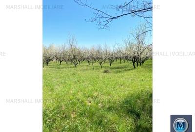 Teren intravilan de vanzare in Baicoi, 4036 mp #15948 - 3