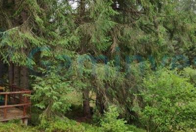 Teren de 2220 mp, în Arieșeni - 3