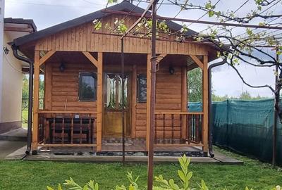 Casă cu Teren 1200 Mp în Viștea - 6