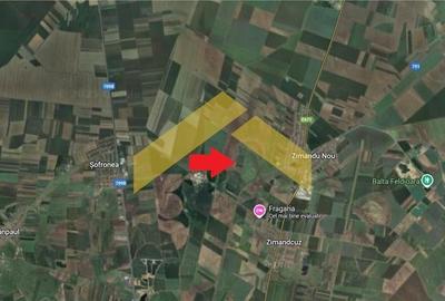 Teren 6,8ha extravilan de vanzare Zimandu Nou - 3