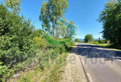 Teren intravilan 6300 mp, Carbunari, parcelat, acces la doua drumuri publice - 5