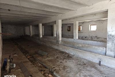 Spațiu comercial, de 43,000 mp, în Voila - 1
