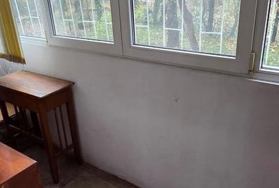 Dristor-Ramnicu Sarat,mall park lake,stradal,vedere spate,10min metrou! - 9