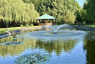 10.000 mp de teren, padure proprie ?i o casa generoasa de 540 mp. - 2