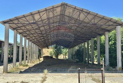 Ferma de vanzare  in Simeria - 3