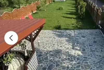 Vila 4 camere de vanzare/inchiriere curte 707 mp- Crevedia - 19