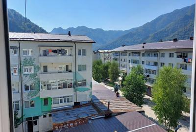 Apartament cu 3 camere semidecomandat în Brezoi - 3