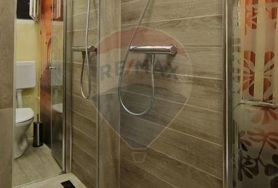 Apartament cu 2 camere semidecomandat, mobilat în Ferdinand - 3