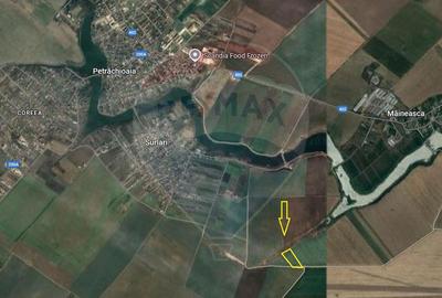 Teren agricol extravilan de 21300 mp, în Petrăchioaia - 2
