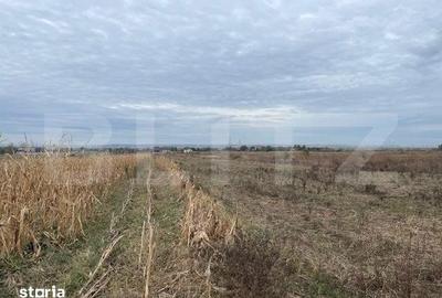 Teren de 2539 mp, în Șimnicu de Sus - 3