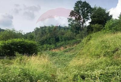 Teren de 2868 mp, în Săsar - 7