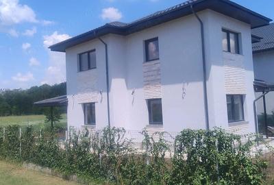 Casă cu Teren 500 Mp în Strejnicu - 9