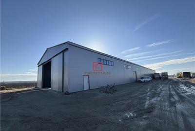 Depozit/hala/spatiu industrial Bolintin Deal - A1 - KM23 - 4